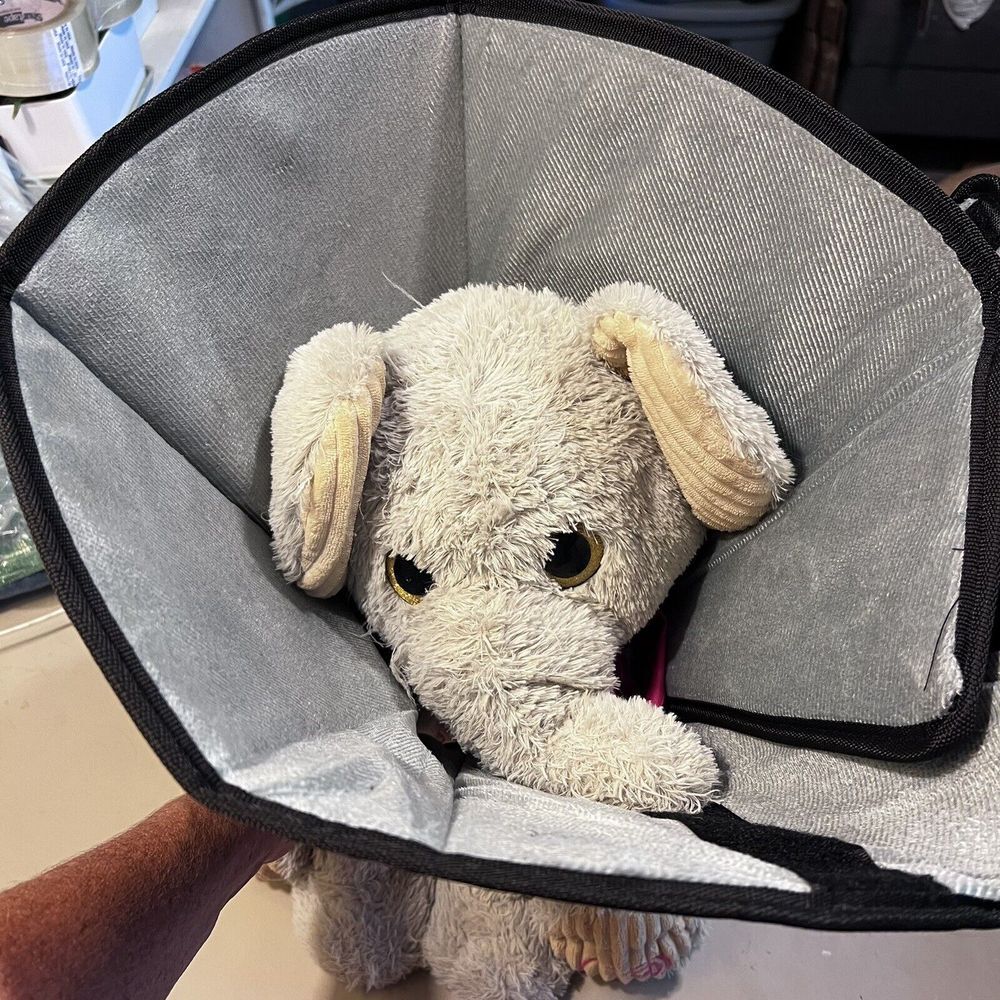 Hadayaki Soft Dog Cone After Surgery in‎ Black